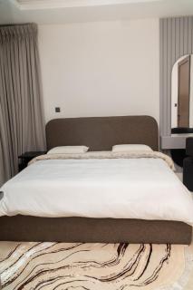 Luxurious & secure 4 bedroom house in Ogudu GRA - 4