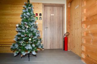 Apartmaji nad potokom AP2 - 0