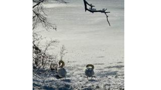 Lakefront GetawaY & Romantic NightS + BeacheS NeaR - 9