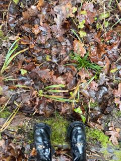 Apartament Magia Puszczy z widokiem na Puszcze Białowieska - 3