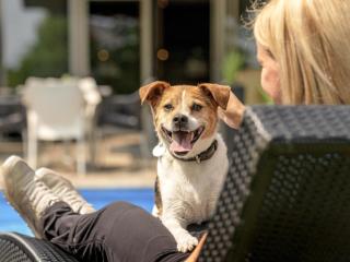 Mercure Aachen Europaplatz - 2