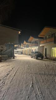 Cottage Mountain Dew in Bakuriani - Bakuriani - 9