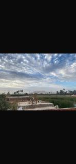 Hadi Guest House - 6