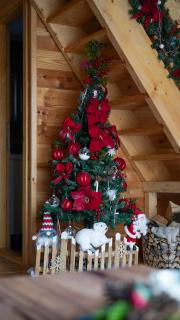 Chalets Montenegrina - 8