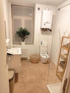 Cozy Renovated Studio in Central Brussels - 7