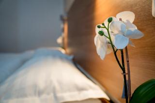 Center Walk Studios - 9