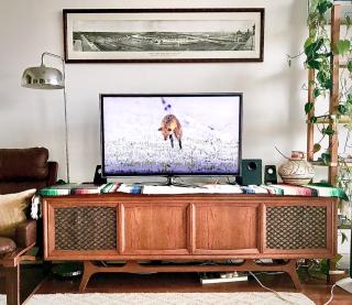 Chapel view Midcentury St Kilda, 1 Queen bedroom - 6