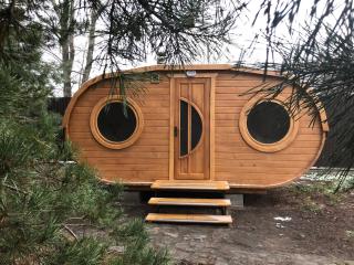 Эко-дім зі смереки з чаном, сауною, каміном і басейном на Десні, 12 км від Києва - 6