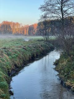 Tiny Silent House River - Zblewo - 5