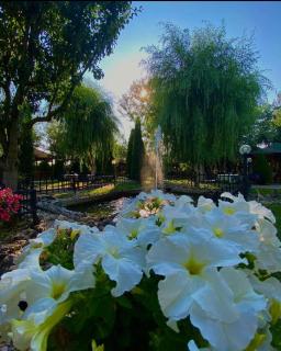 Hotel Restaurant Arena - 7