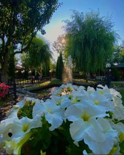 Hotel Restaurant Arena - 2