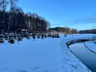 Tiny Silent House - 9