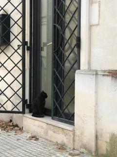 Monolocale Carafa - 2