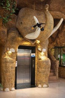 Tiger Complex Inn - 8