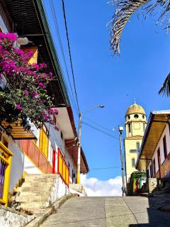 Nice apartment 15 meters from the park - 5