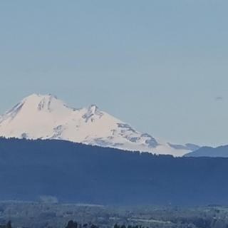 Departamento 3 dormitorios en villarica - 8