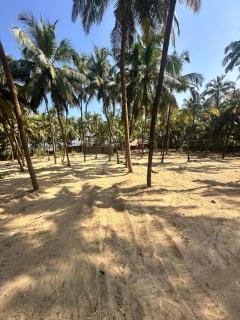 STRIPGREENS BeACH & BACKWATER RESORT VALIYAPARAMBA - 8