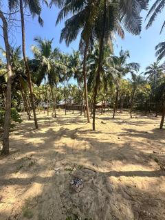 STRIPGREENS BeACH & BACKWATER RESORT VALIYAPARAMBA - 6