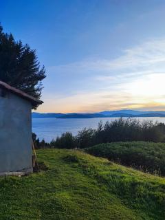 Munay Tota Signature - 1