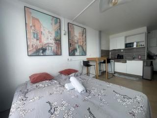 PENTHOUSE SEASIDE 10 MIN port, croisière et aéroport - 7