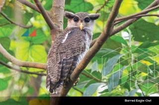 River Camps By ClubRock Perlis - 6