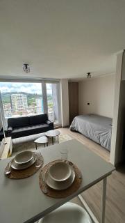 Departamento centro de Concepción - 8