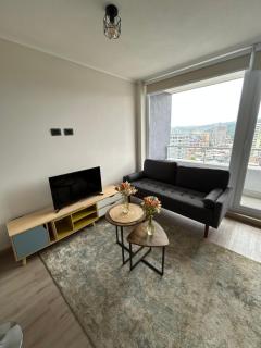 Departamento centro de Concepción - 9