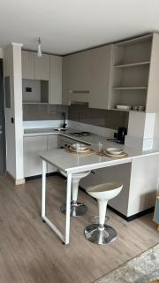 Departamento centro de Concepción - 7