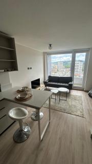 Departamento centro de Concepción - 3