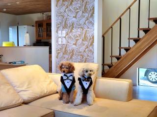 Koji Bliss - Vacation STAY 93231v - 6