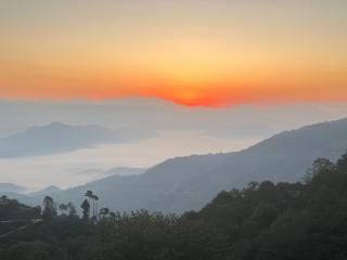 Hotel Pigeon Prince - 9