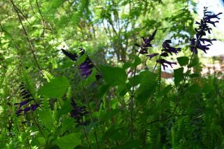 Patrimonio Familiar con Jardín de Ensueño - 4