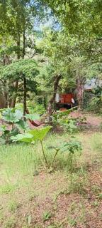 Pucón Magic forest - 7