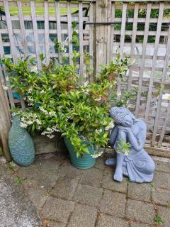 Mikimiki Valley Cottage near Tararua Park Trailhead - 3