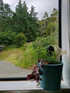 Mikimiki Valley Cottage near Tararua Park Trailhead - 8