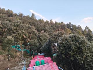 Tree Heaven Homestay - 4