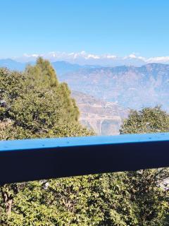 Tree Heaven Homestay - 1