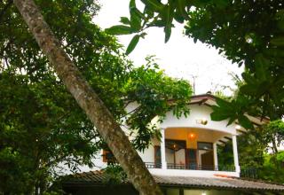 Green View Apartment - 0