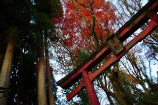 omusubi share house JAPANEZE STYLE - 5