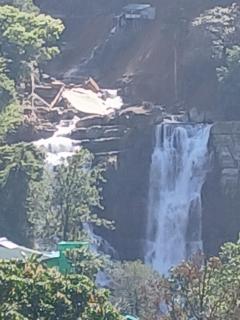 Dio Green HILLTOP NUWARA ELIYA - 1