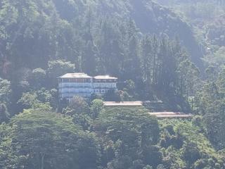 Dio Green HILLTOP NUWARA ELIYA - 3
