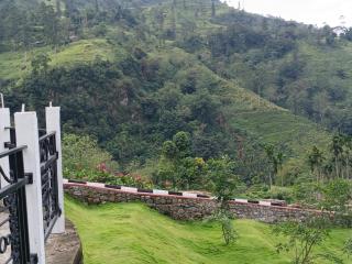 Dio Green HILLTOP NUWARA ELIYA - 6