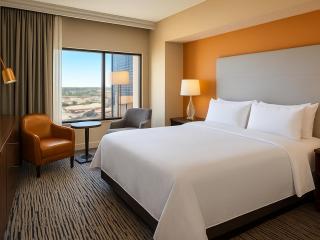 Flamingo, a Hilton Grand Vacations Club- STUDIO LT - 3