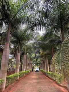 NATUREs LAP FARM STAY Mysore - 9