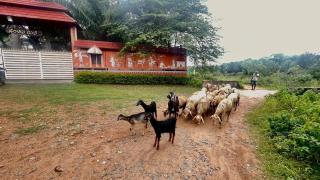 NATUREs LAP FARM STAY Mysore - 5