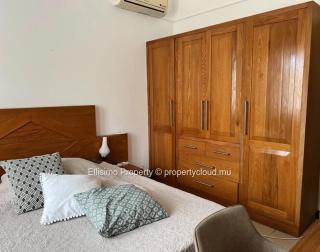 Tropical escape in Mauritius - 5