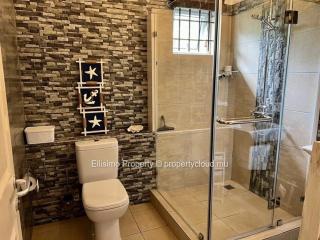 Tropical escape in Mauritius - 3