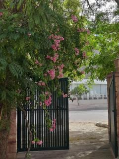 Roda House - a boutique homestay in Bikaner - 2