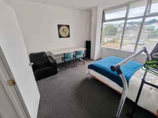 Cosy Thorndon Room in Wellington - 8