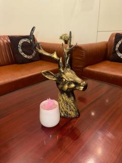 2BHK River view Apartment and City view - 1